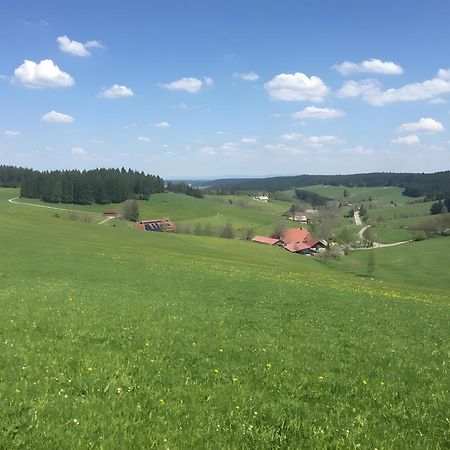 Blackforest Ferienwohnung ザンクト・ゲオルゲン・イム・シュバルツヴァルト エクステリア 写真
